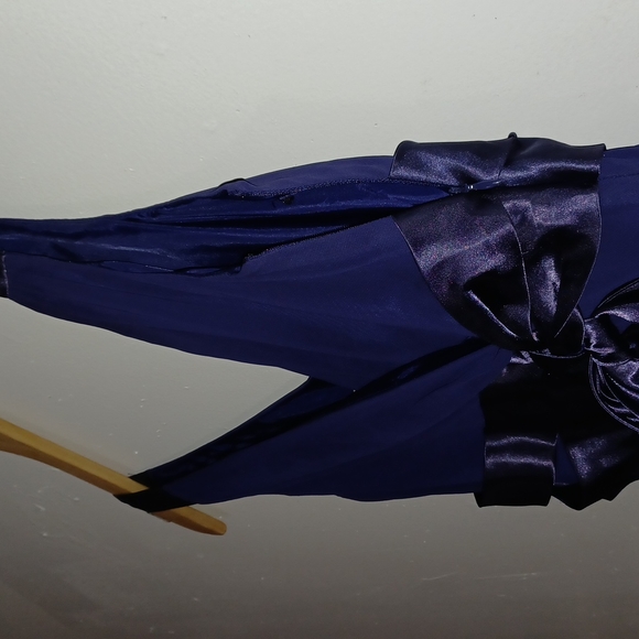 EVAN-PICONE  GORGEOS! PURPLE DRESS sz 10 - Picture 7 of 7